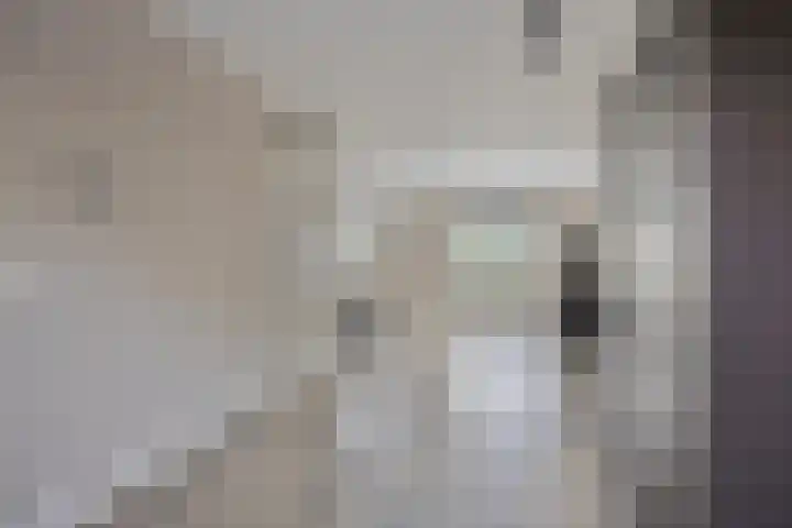 Paddestoelenlaan 65 Veenendaal thumbnail 9