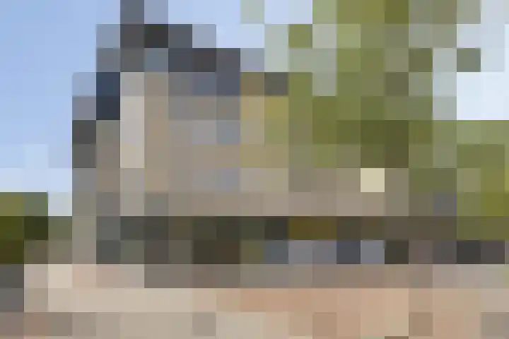 Paddestoelenlaan 66 Veenendaal