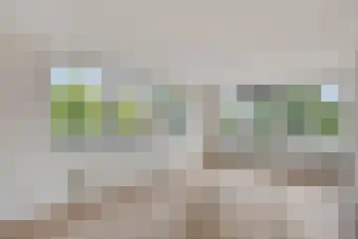 Paddestoelenlaan 66 Veenendaal thumbnail 12