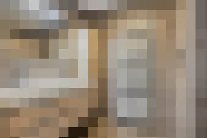 Paddestoelenlaan 66 Veenendaal thumbnail 20