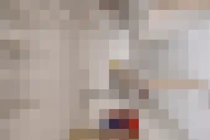 Paddestoelenlaan 66 Veenendaal thumbnail 27