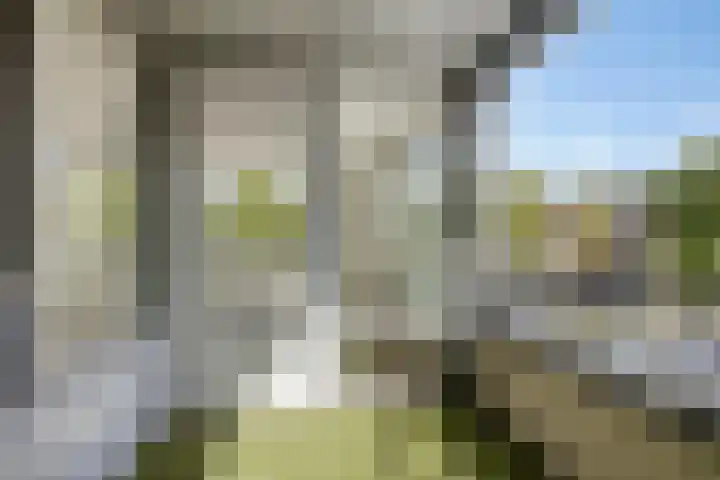 Paddestoelenlaan 66 Veenendaal thumbnail 28