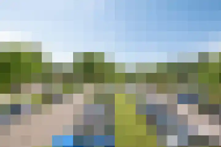 Paddestoelenlaan 66 Veenendaal thumbnail 29