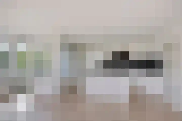Paddestoelenlaan 66 Veenendaal foto 3