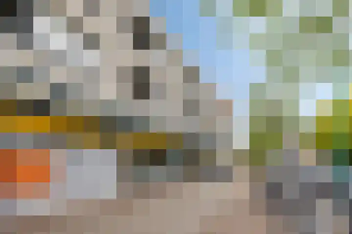 Paddestoelenlaan 66 Veenendaal thumbnail 32