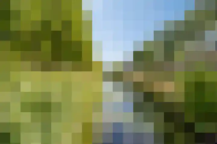 Paddestoelenlaan 66 Veenendaal thumbnail 33