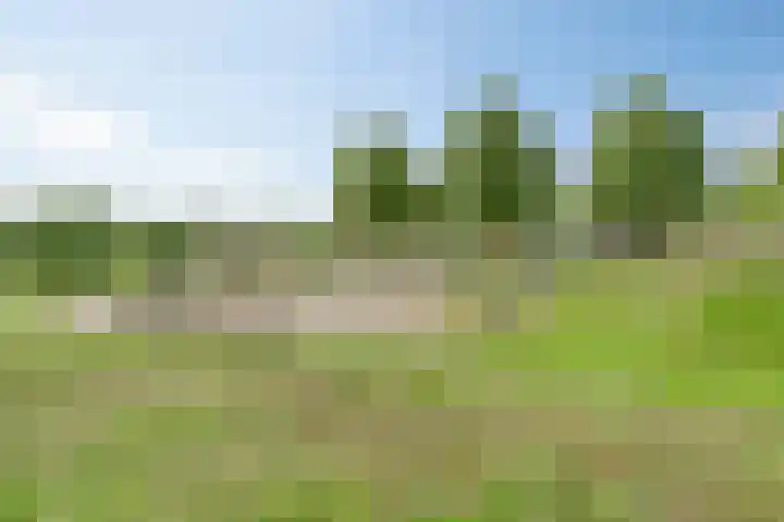 Paddestoelenlaan 66 Veenendaal thumbnail 34