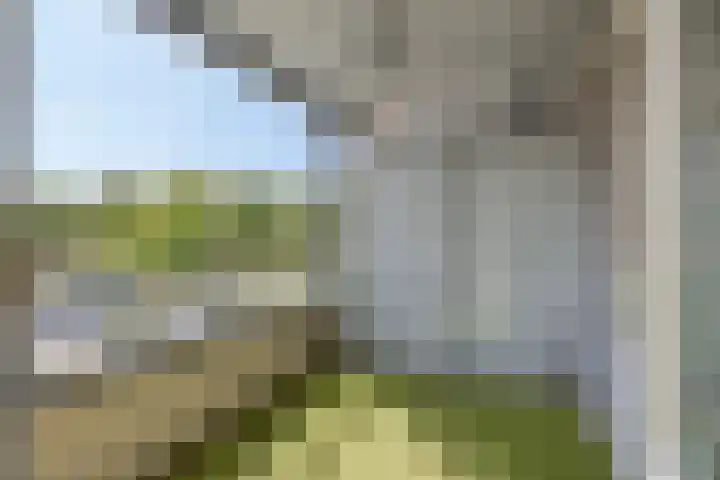 Paddestoelenlaan 66 Veenendaal thumbnail 4