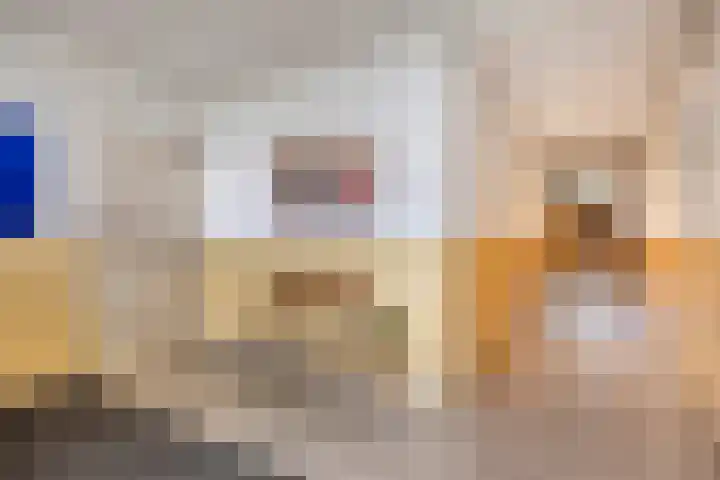 Paddestoelenlaan 66 Veenendaal thumbnail 6