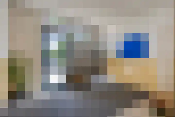 Paddestoelenlaan 66 Veenendaal thumbnail 7