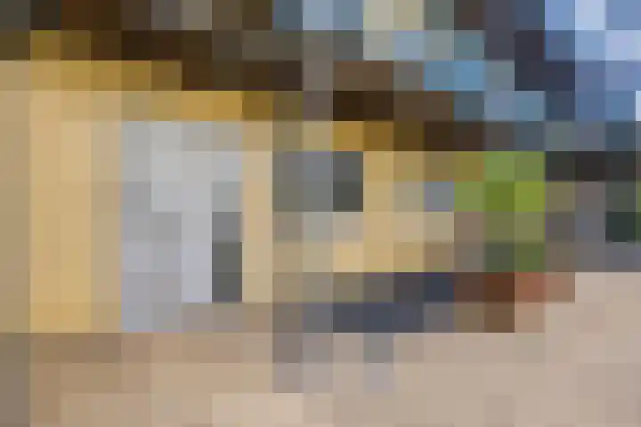 Paddestoelenlaan 66 Veenendaal thumbnail 8