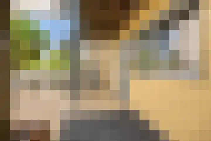 Paddestoelenlaan 66 Veenendaal thumbnail 9
