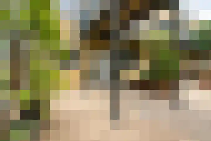 Paddestoelenlaan 74 Veenendaal thumbnail 9