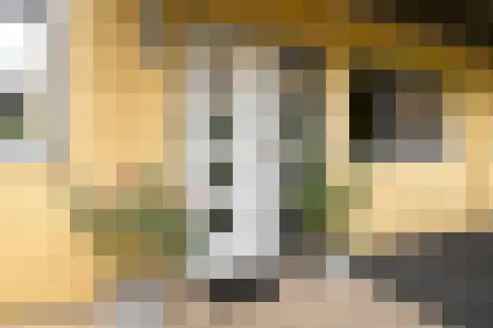 Paddestoelenlaan 74 Veenendaal thumbnail 10