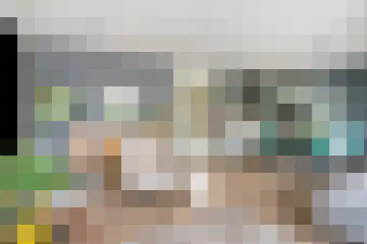 Paddestoelenlaan 74 Veenendaal thumbnail 13