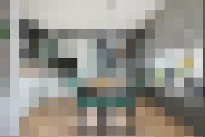 Paddestoelenlaan 74 Veenendaal thumbnail 14