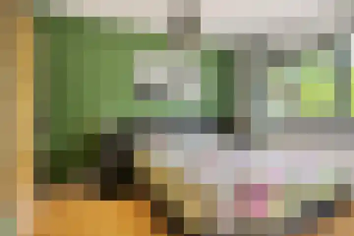 Paddestoelenlaan 74 Veenendaal thumbnail 16
