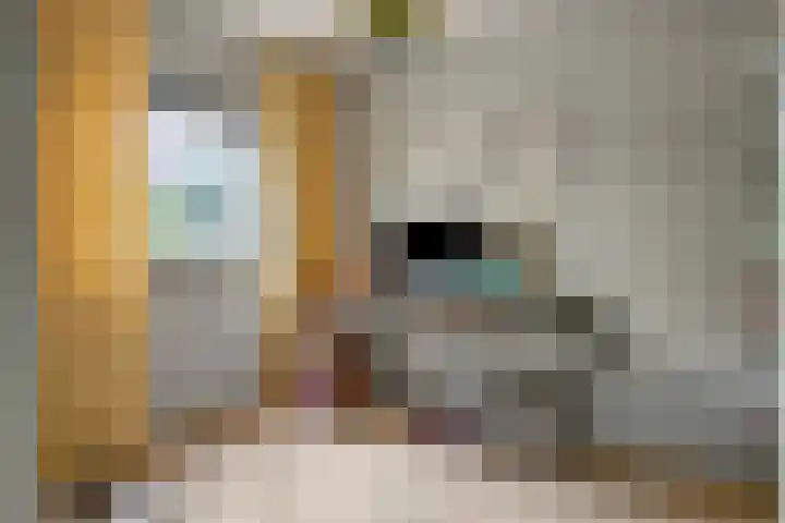 Paddestoelenlaan 74 Veenendaal thumbnail 17