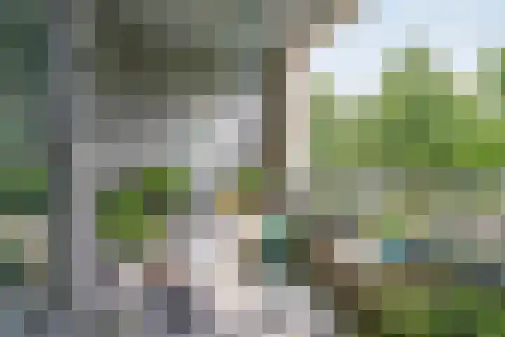 Paddestoelenlaan 74 Veenendaal thumbnail 21