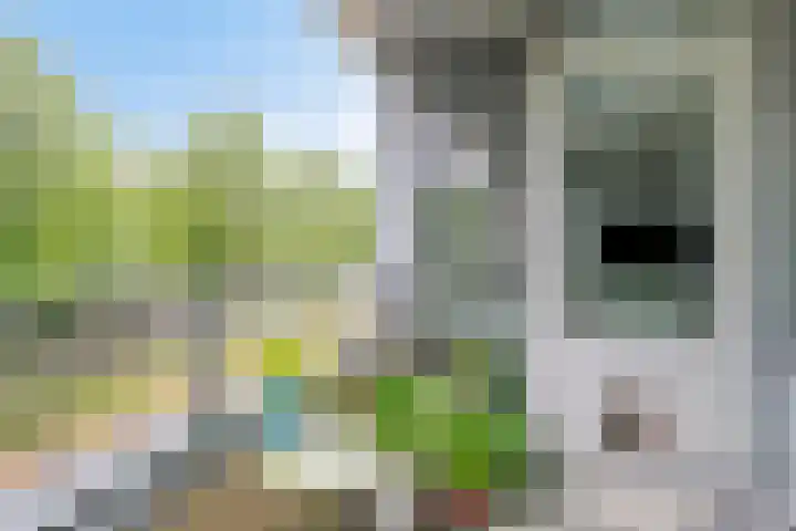Paddestoelenlaan 74 Veenendaal thumbnail 22