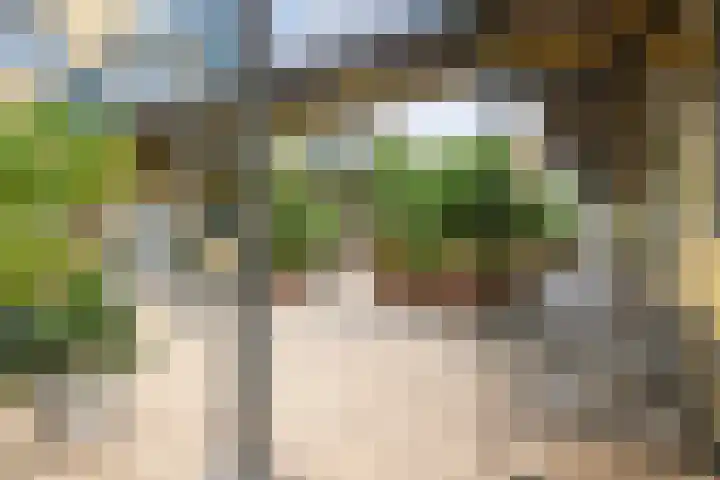 Paddestoelenlaan 74 Veenendaal thumbnail 25