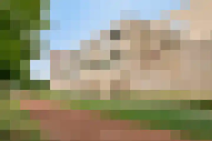 Paddestoelenlaan 74 Veenendaal thumbnail 26