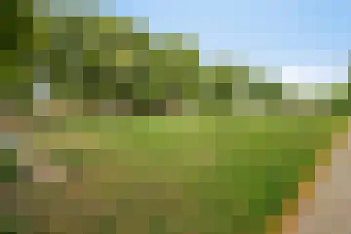 Paddestoelenlaan 74 Veenendaal thumbnail 28