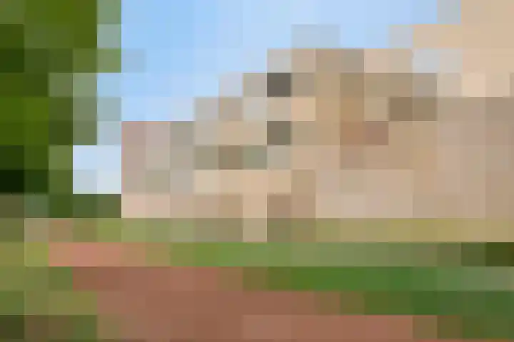 Paddestoelenlaan 74 Veenendaal foto 3
