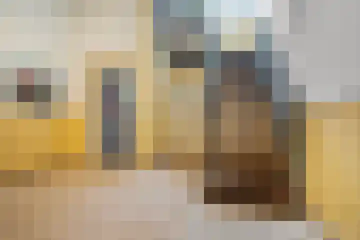 Paddestoelenlaan 74 Veenendaal thumbnail 7