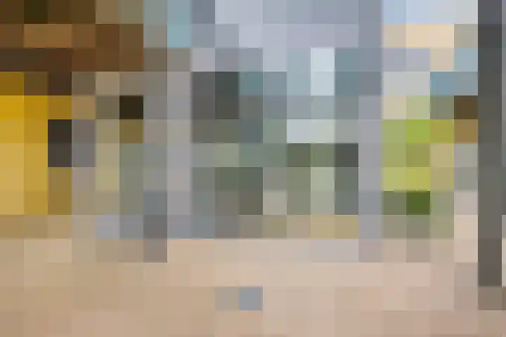 Paddestoelenlaan 74 Veenendaal thumbnail 8