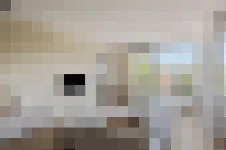 Paddestoelenlaan 86 Veenendaal thumbnail 12
