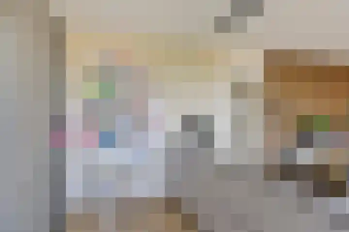 Paddestoelenlaan 86 Veenendaal thumbnail 16