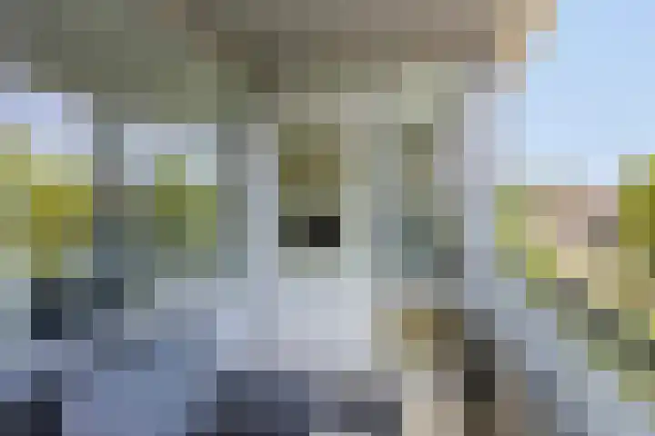 Paddestoelenlaan 86 Veenendaal thumbnail 23