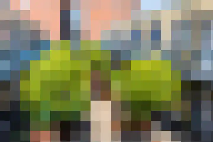 Paddestoelenlaan 86 Veenendaal thumbnail 27