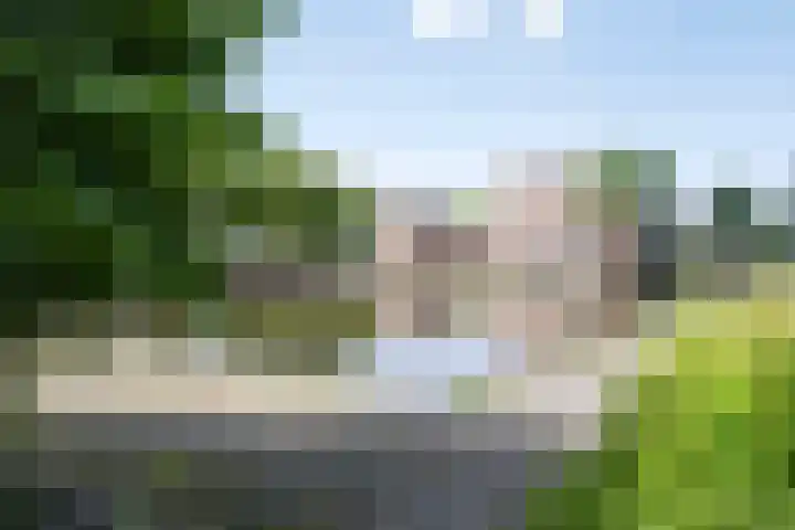 Paddestoelenlaan 86 Veenendaal thumbnail 28