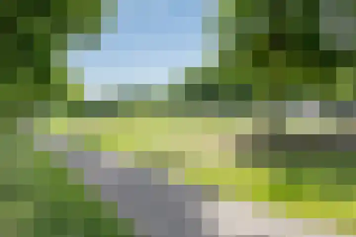 Paddestoelenlaan 86 Veenendaal thumbnail 29