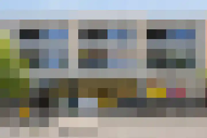 Paddestoelenlaan 86 Veenendaal thumbnail 6