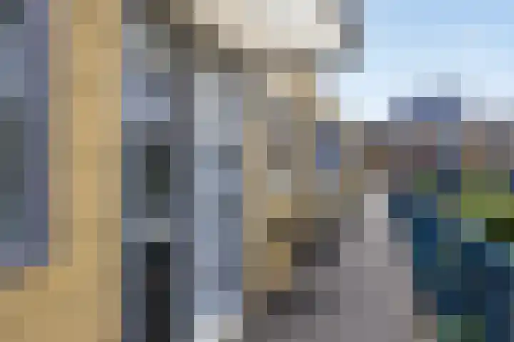 Paddestoelenlaan 86 Veenendaal thumbnail 9