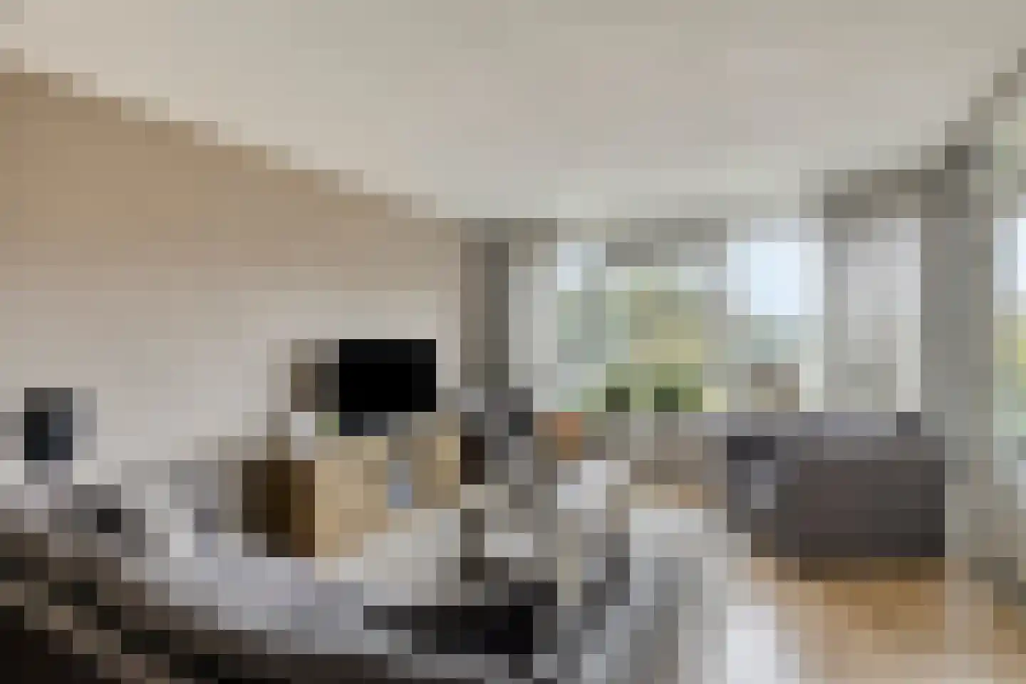 Paddestoelenlaan 98 Veenendaal thumbnail 13