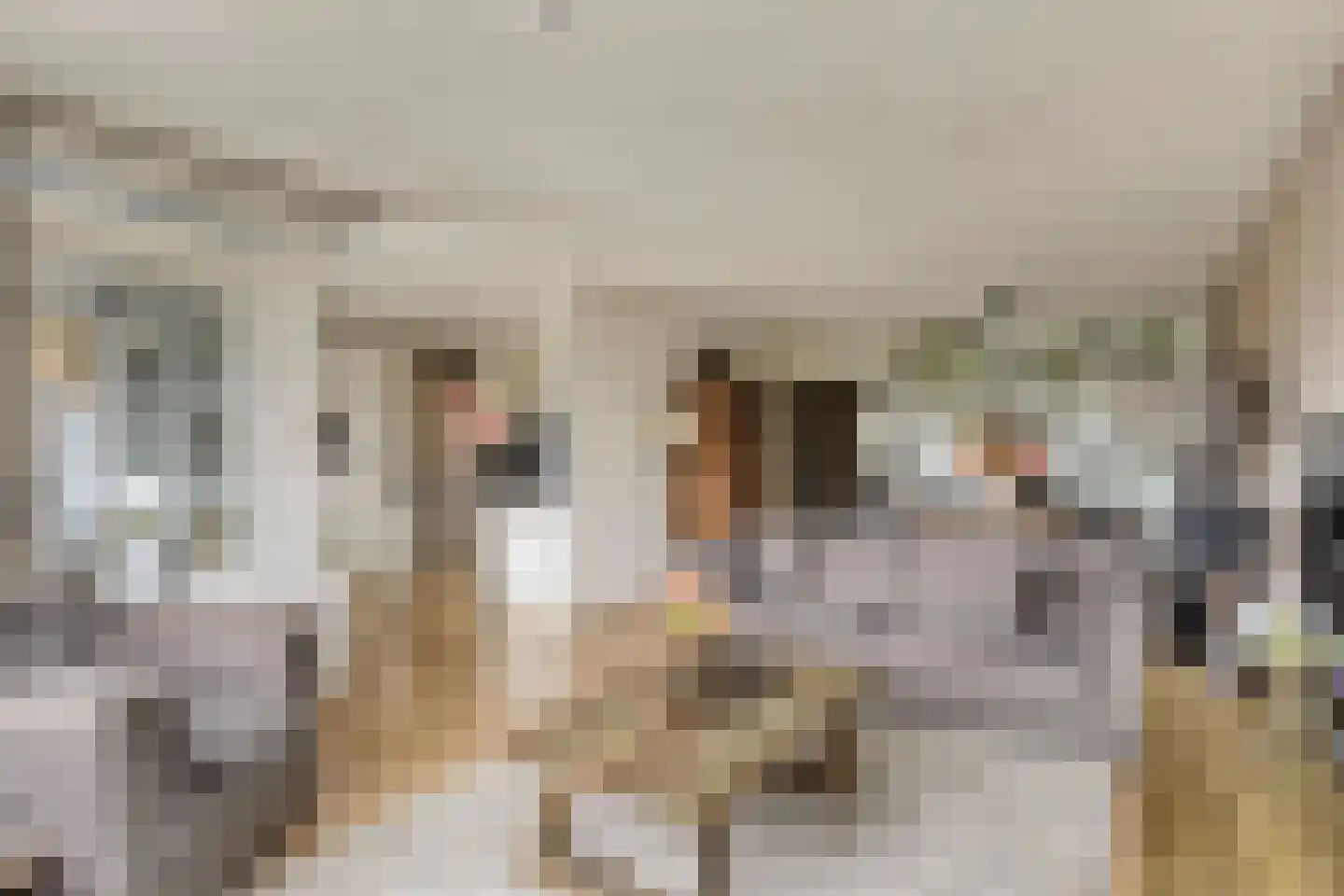 Paddestoelenlaan 98 Veenendaal thumbnail 16