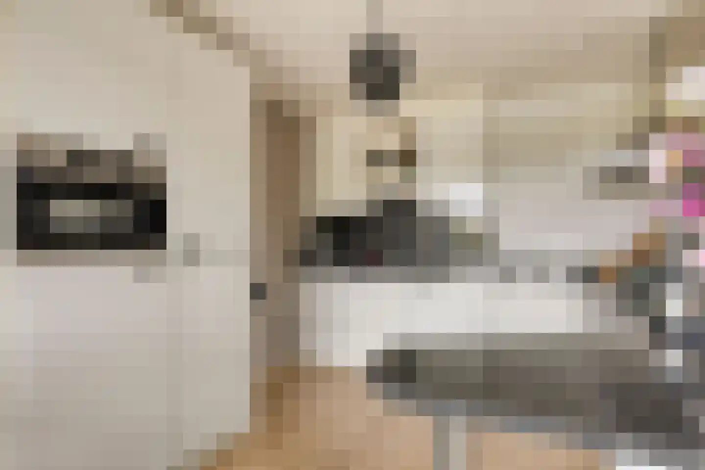 Paddestoelenlaan 98 Veenendaal thumbnail 17