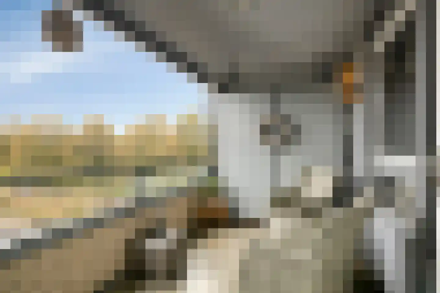 Paddestoelenlaan 98 Veenendaal thumbnail 20