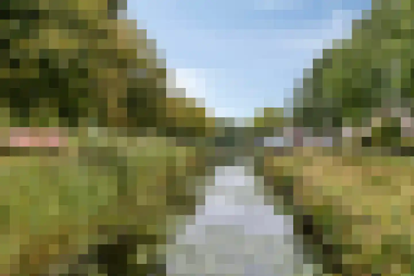 Paddestoelenlaan 98 Veenendaal thumbnail 26