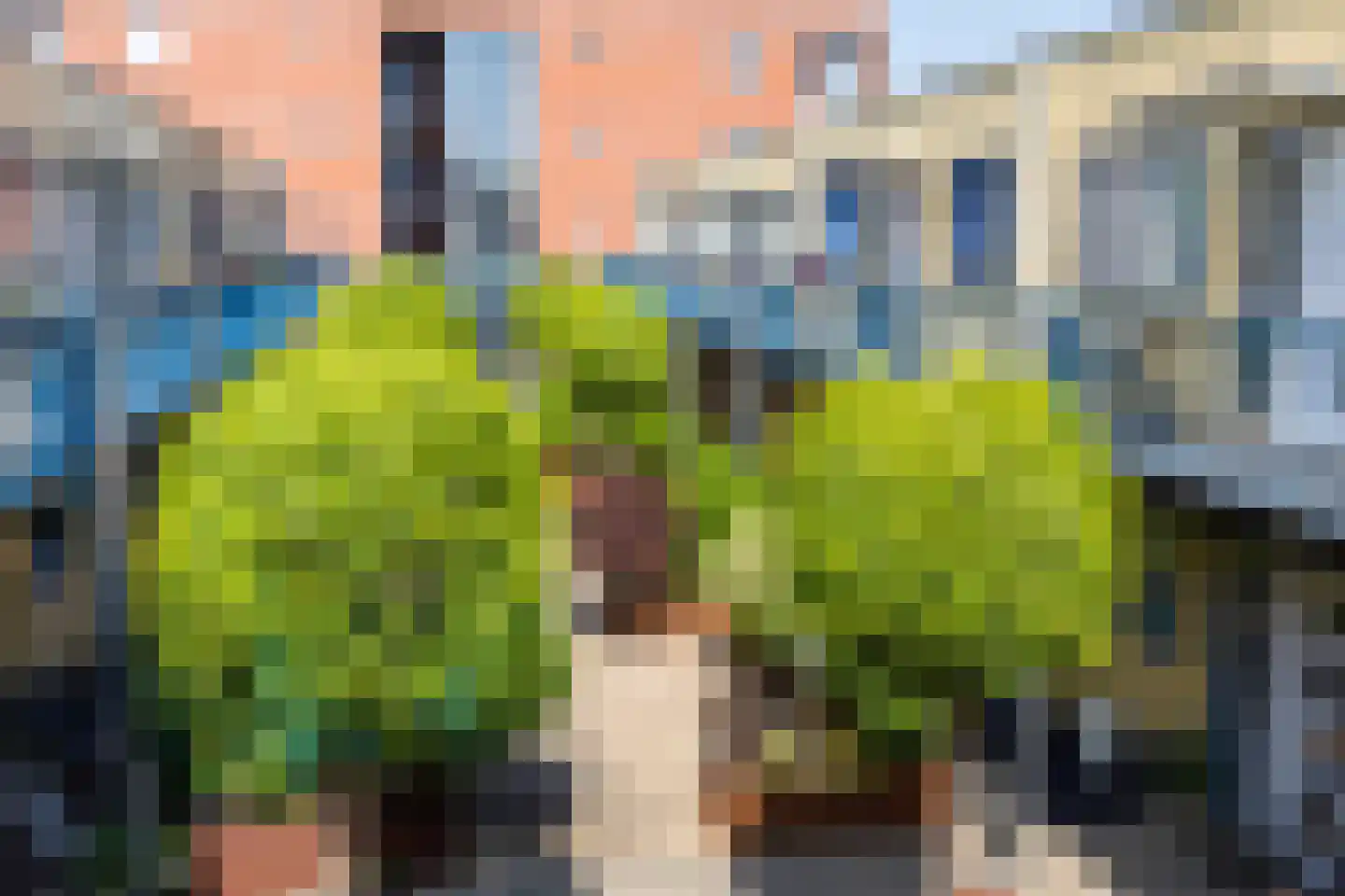 Paddestoelenlaan 98 Veenendaal thumbnail 8