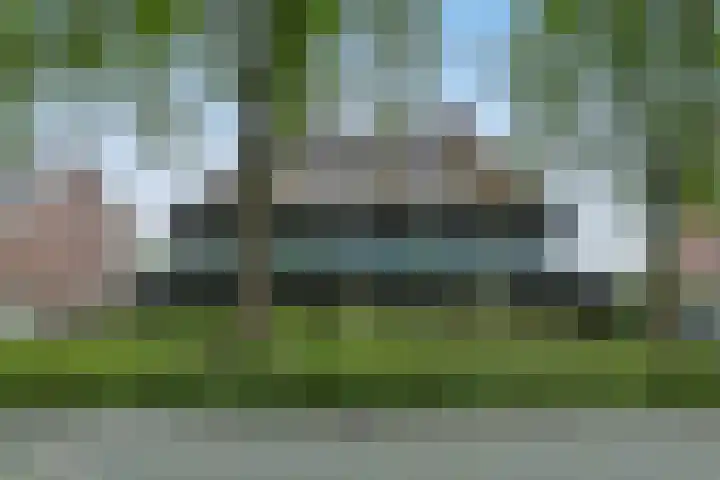 Paddestoelweg 132 Alphen aan den Rijn foto 3