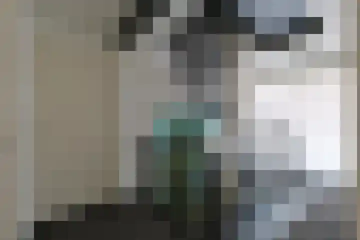 Paddestoelweg 132 Alphen aan den Rijn thumbnail 30