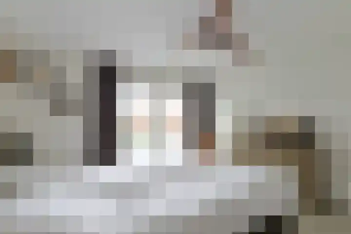 Paddestoelweg 132 Alphen aan den Rijn thumbnail 33
