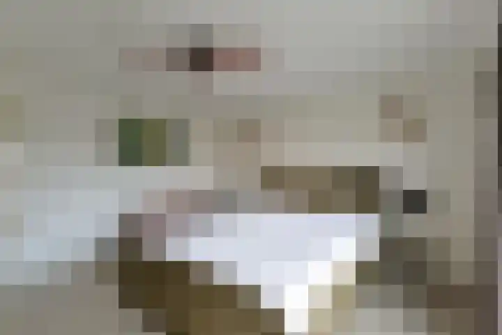 Paddestoelweg 132 Alphen aan den Rijn thumbnail 34