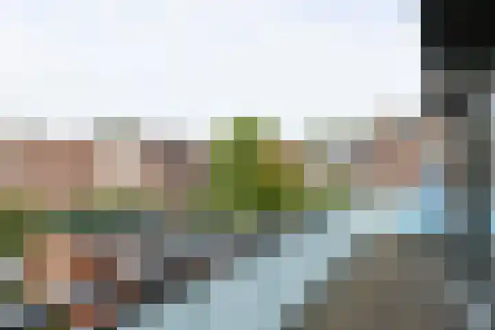 Paddestoelweg 132 Alphen aan den Rijn thumbnail 48