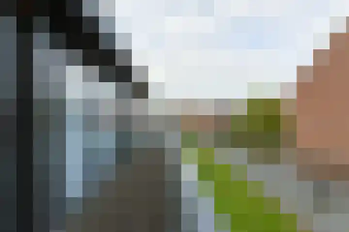 Paddestoelweg 132 Alphen aan den Rijn thumbnail 49